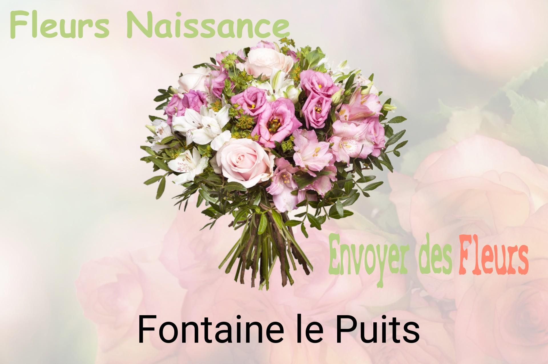 Bouquet de fleurs de naissance livré à Fontaine-le-Puits